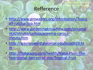 Refference
• http://www.growables.org/information/Tropic
alFruit/carissa.htm
• http://www.gardeningknowhow.com/orname
ntal/shrubs/carissa/growing-carissa-
shrubs.htm
• http://waynesword.palomar.edu/ecoph20.ht
m
• http://hubpages.com/health/Natal-Plum-The-
Nutritional-Secrets-of-this-Tropical-Fruit
 