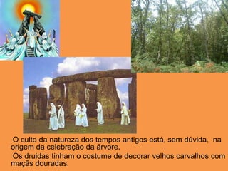      O culto da natureza dos tempos antigos está, sem dúvida,  na origem da celebração da árvore.     Os druidas tinham o costume de decorar velhos carvalhos com maçãs douradas.  