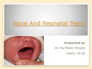 Natal And Neonatal Teeth 
Presented by 
Dr. Ha-Meem Fattaha 
Batch: IS-26 
 