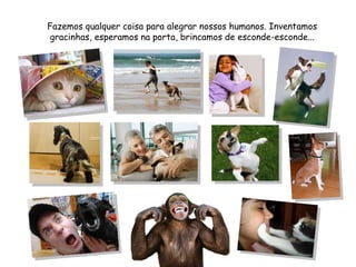 Fazemos qualquer coisa para alegrar nossos humanos. Inventamos gracinhas, esperamos na porta, brincamos de esconde-esconde... 