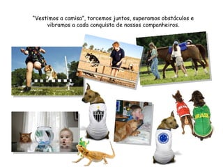 “ Vestimos a camisa”, torcemos juntos, superamos obstáculos e vibramos a cada conquista de nossos companheiros. 