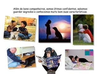 Além de bons companheiros, somos ótimos confidentes, sabemos guardar segredos e conhecemos muito bem suas características. 