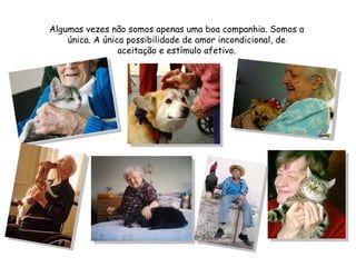 Algumas vezes não somos apenas uma boa companhia. Somos a única. A única possibilidade de amor incondicional, de aceitação e estímulo afetivo. 