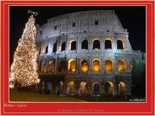 Roma -  Lacio   Colosseo e l‘albero di Natale 