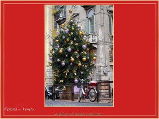 Verona –  Veneto   un albero di Natale romantico   
