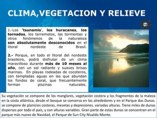 CLIMA,VEGETACION Y RELIEVE
   1.-Los 'tsunamis', los huracanes, los
   tornados, los terremotos, las tormentas y
   otros   fenómenos    de    la   naturaleza
   son absolutamente desconocidos en el
   litoral     nordeste       de       Brasil.

   2.- Porque, en todo el litoral del nordeste
   brasileiro, podrá disfrutar de un clima
   maravilloso durante más de 10 meses al
   año, con un sol radiante y suaves brisas
   marinas. En playas rodeadas de cocoteros,
   con templadas aguas en las que abundan
   los fondos de coral, que frecuentemente
   forman          piscinas          naturales.


Su vegetación se compone de los manglares, vegetación costera y los fragmentos de la maleza
en la costa atlántica, desde el bosque se conserva en los alrededores y en el Parque das Dunas.
se compone de planicies costeras, mesetas y depresiones. variadas alturas. Tiene miles de dunas
dispersos por todo el país, y con alturas variables. Gran parte de estas dunas se concentran en el
parque más nuevo de Navidad, el Parque de Sun City Nivaldo Monte.
 