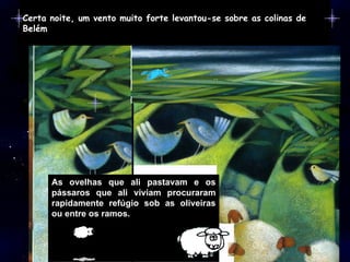 Certa noite, um vento muito forte levantou-se sobre as colinas de Belém As ovelhas que ali pastavam e os pássaros que ali viviam procuraram rapidamente refúgio sob as oliveiras ou entre os ramos. 