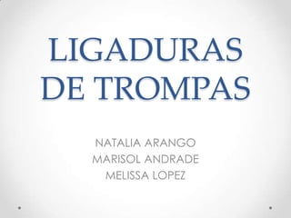 LIGADURAS DE TROMPAS NATALIA ARANGO MARISOL ANDRADE MELISSA LOPEZ 