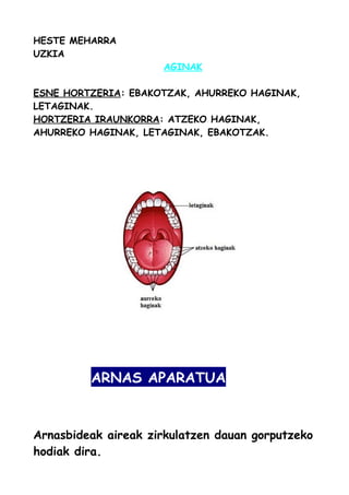 HESTE MEHARRA
UZKIA
AGINAK
ESNE HORTZERIA: EBAKOTZAK, AHURREKO HAGINAK,
LETAGINAK.
HORTZERIA IRAUNKORRA: ATZEKO HAGINAK,
AHURREKO HAGINAK, LETAGINAK, EBAKOTZAK.
ARNAS APARATUA
Arnasbideak aireak zirkulatzen dauan gorputzeko
hodiak dira.
 