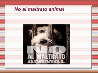 No al maltrato animal
 