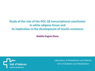 Study of the role of the PGC-1β transcriptional coactivator
                 in white adipose tissue and
  its implication in the development of insulin resistance

                    Natàlia Enguix Elena




                                    Laboratory of Metabolism and Obesity
                                      Unit of Diabetes and Metabolism
 