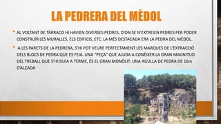 LA PEDRERA DEL MÈDOL
• AL VOLTANT DE TÀRRACO HI HAVIEN DIVERSES PEDRES, D’ON SE N’EXTREIEN PEDRES PER PODER
CONSTRUÏR LES MURALLES, ELS EDIFICIS, ETC. LA MÉS DESTACADA ERA LA PEDRA DEL MÈDOL.
• A LES PARETS DE LA PEDRERA, S’HI POT VEURE PERFECTAMENT LES MARQUES DE L’EXTRACCIÓ
DELS BLOCS DE PEDRA QUE ES FEIA. UNA “PEÇA” QUE AJUDA A CONÈIXER LA GRAN MAGNITUD
DEL TREBALL QUE S’HI DUIA A TERME, ÉS EL GRAN MONÒLIT: UNA AGULLA DE PEDRA DE 16m
D’ALÇADA
 