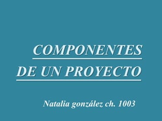 COMPONENTES
DE UN PROYECTO
Natalia gonzález ch. 1003
 