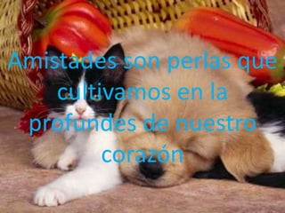 Amistades son perlas que
    cultivamos en la
 profundes de nuestro
         corazón
 