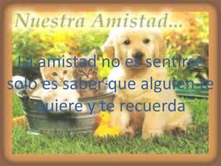 La amistad no es sentirse
solo es saber que alguien te
    quiere y te recuerda
 