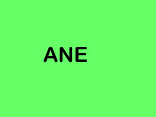 ANE
 