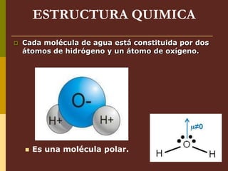 ESTRUCTURA QUIMICA
 Cada molécula de agua está constituida por dos
átomos de hidrógeno y un átomo de oxígeno.
 Es una molécula polar.
 