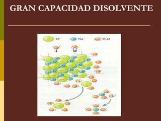 GRAN CAPACIDAD DISOLVENTE
 