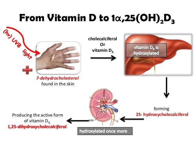 The Role Of Vitamin D In Cancer Prevention – Radiowelle Nrw