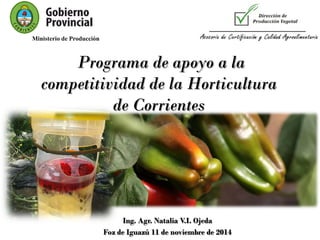 Programa de apoyo a la competitividad de la Horticultura de Corrientes 
Ing. Agr. Natalia V.I. Ojeda 
Foz de Iguazú 11 de noviembre de 2014 
Ministerio de Producción  