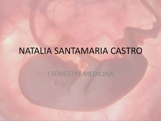 NATALIA SANTAMARIA CASTRO

     I SEMESTRE MEDICINA
 