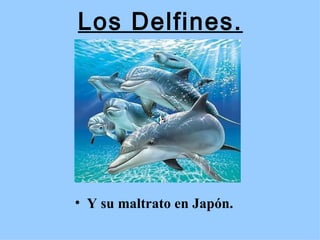 Los Delfines. ,[object Object]