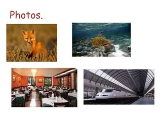 Photos.
 