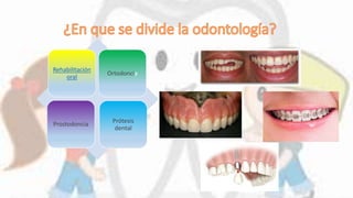 Rehabilitación
oral
Ortodoncia
Prostodoncia Prótesis
dental
 