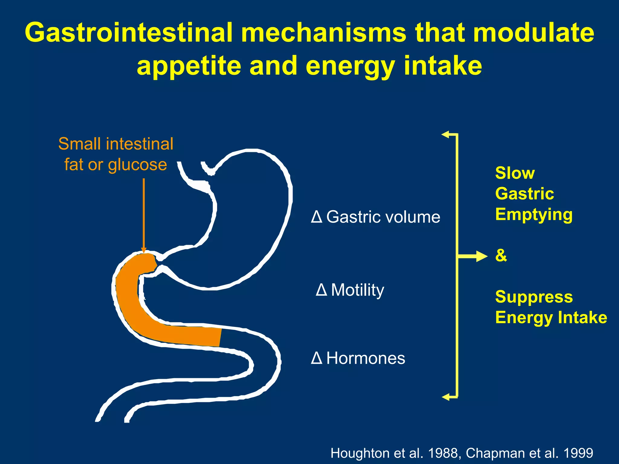 Gastrointestinal mechanisms that modulate
        appetite and energy intake

  Small intestinal
   fat or glucose                               Slow
                                                Gastric
                     Δ Gastric volume           Emptying

                                                &
                     Δ Motility                 Suppress
                                                Energy Intake

                     Δ Hormones




                       Houghton et al. 1988, Chapman et al. 1999
 