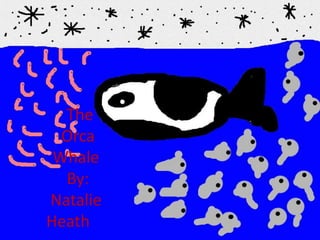 The
  Orca
 Whale
  By:
Natalie
Heath
 