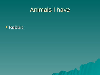 Animals I have Rabbit 