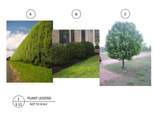 A               B   C




 1     PLANT LEGEND
S 11    NOT TO SCALE
 