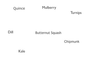 Quince

Mulberry
Turnips

Dill

Butternut Squash
Сhipmunk

Kale

 