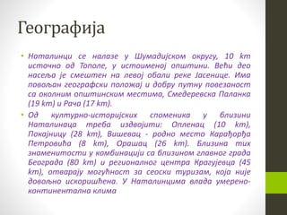 Географија
• Наталинци се налазе у Шумадијском округу, 10 km
источно од Тополе, у истоименој општини. Већи део
насеља је смештен на левој обали реке Јасенице. Има
повољан географски положај и добру путну повезаност
са околним општинским местима, Смедеревска Паланка
(19 km) и Рача (17 km).
• Од културно-историјских споменика у близини
Наталинаца треба издвојити: Опленац (10 km),
Покајницу (28 km), Вишевац - родно место Карађорђа
Петровића (8 km), Орашац (26 km). Близина тих
знаменитости у комбинацији са близином главног града
Београда (80 km) и регионалног центра Крагујевца (45
km), отварају могућност за сеоски туризам, која није
довољно искоришћена. У Наталинцима влада умерено-
континентална клима
 