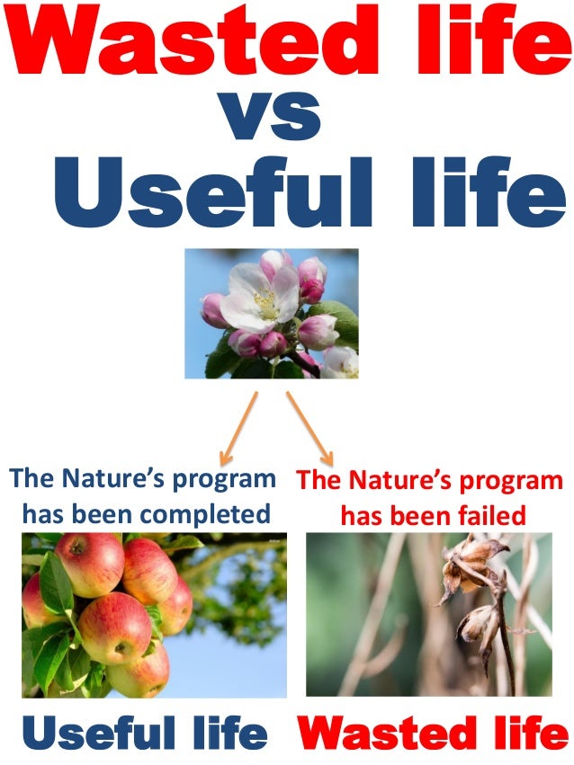 Definition of wasted life vs useful life