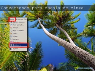 Aperfeiçoar As quatro Liberdades 