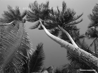 Vantagens   Livre é diferente de Open Source 