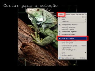Não tem que usar cracks! 