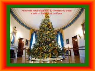 Árvore de natal oficial tem 5, 4 metros de altura
        e está no Salão Azul da Casa.
 