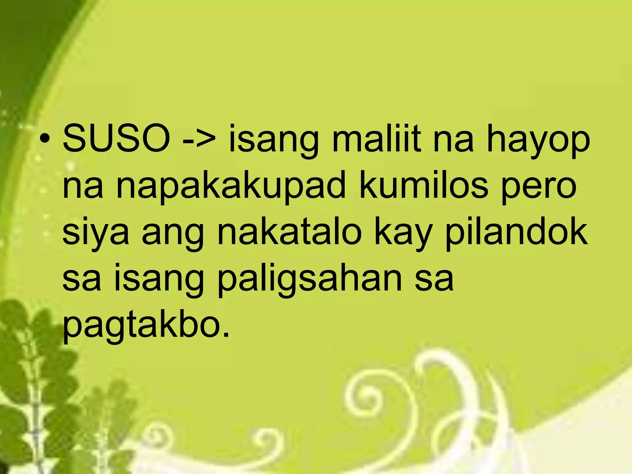 • SUSO -> isang maliit na hayop
na napakakupad kumilos pero
siya ang nakatalo kay pilandok
sa isang paligsahan sa
pagtakbo.