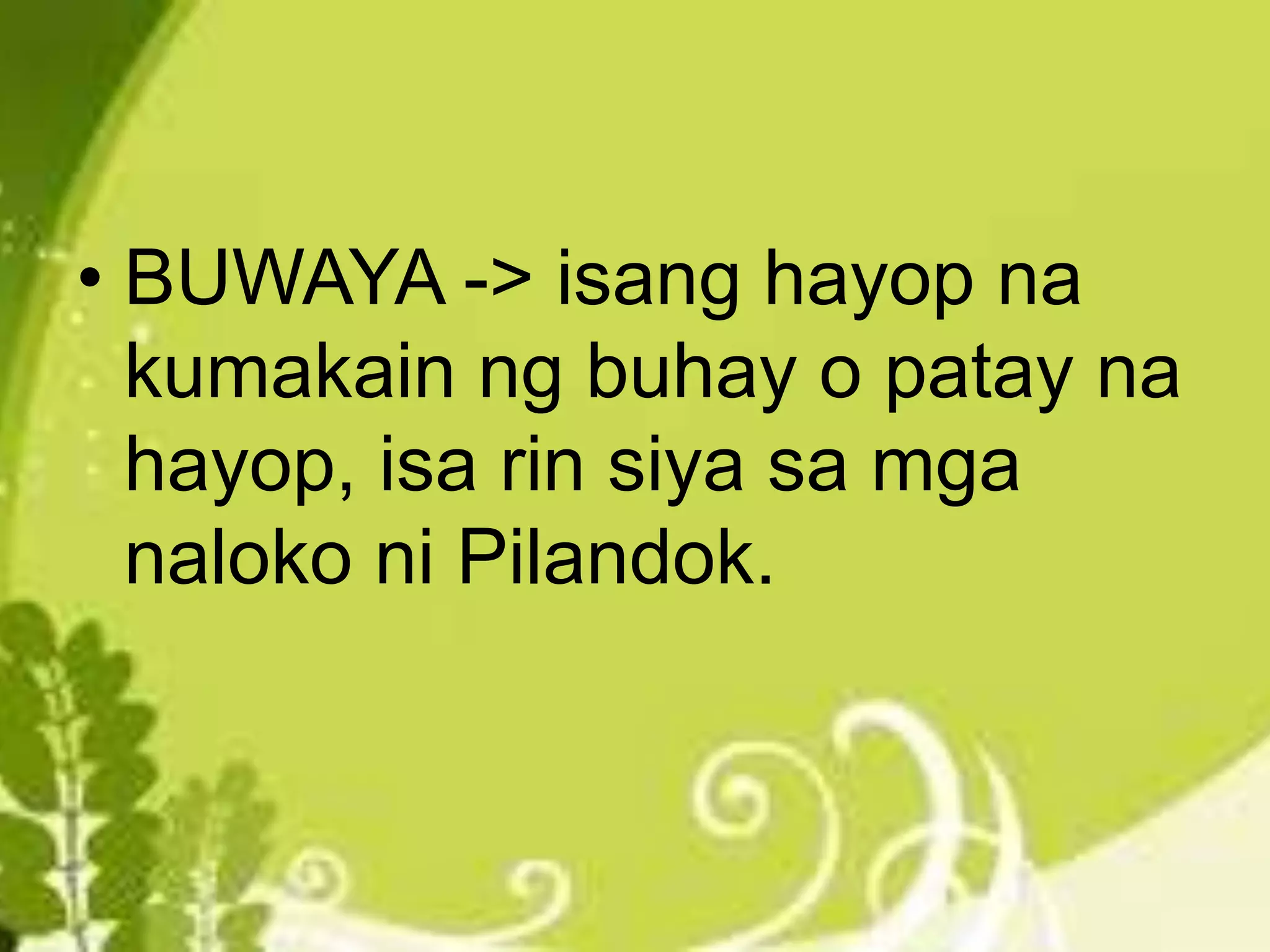 • BUWAYA -> isang hayop na
kumakain ng buhay o patay na
hayop, isa rin siya sa mga
naloko ni Pilandok.