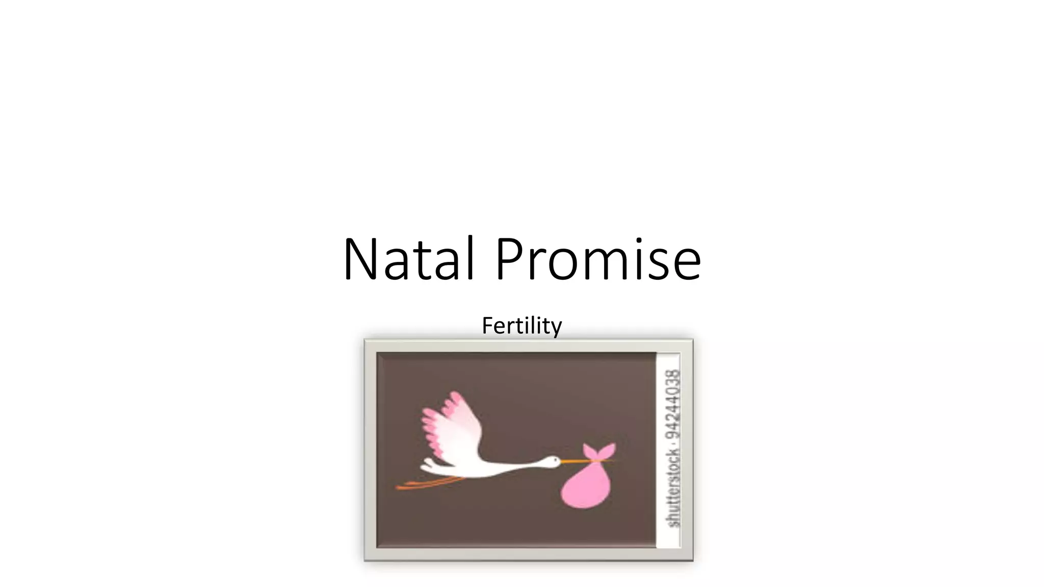 Natal promise PPT