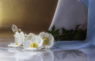 Natalya Kuznetsova   fleurs