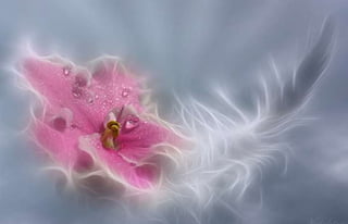 Natalya Kuznetsova   fleurs