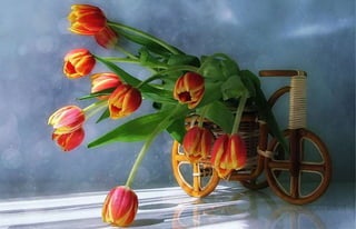 Natalya Kuznetsova   fleurs