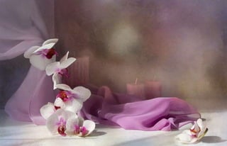 Natalya Kuznetsova   fleurs