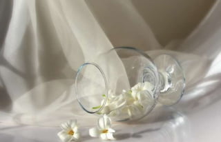 Natalya Kuznetsova   fleurs