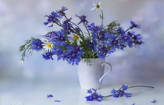 Natalya Kuznetsova   fleurs