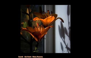 Natalya Kuznetsova   fleurs