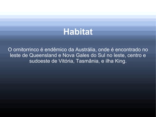 Habitat
O ornitorrinco é endêmico da Austrália, onde é encontrado no
leste de Queensland e Nova Gales do Sul no leste, centro e
sudoeste de Vitória, Tasmânia, e ilha King.
 
